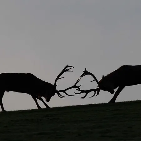 Reit-und Nordmann Ξενοδοχείο Stangerode