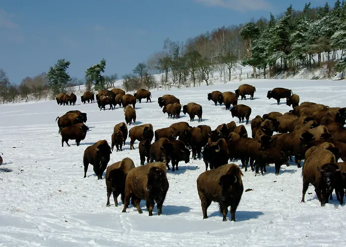 Reit-und Nordmann Ξενοδοχείο