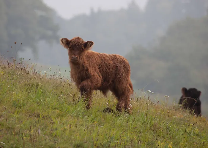 Reit-und Nordmann Hotel Stangerode