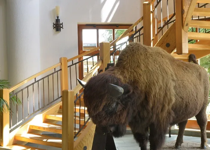 Reit-und Nordmann Stangerode