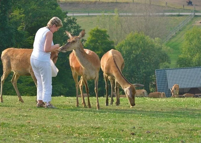 Hotel Reit-und Nordmann Stangerode