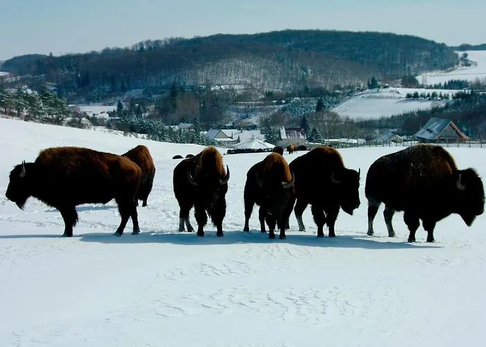 Reit-und Nordmann 4*